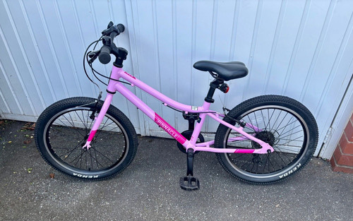 Pinnacle 20in kids bike - 20in,
