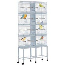 Large bird cage parrot - parrot,