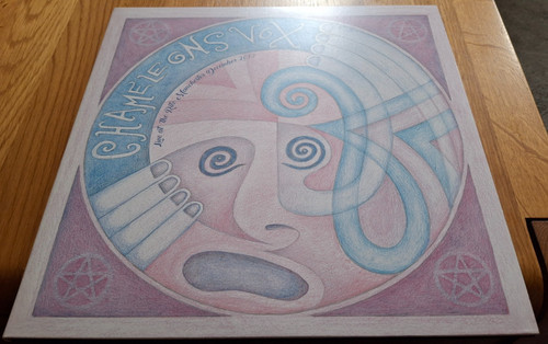 Chameleons vox return of the - chameleons,