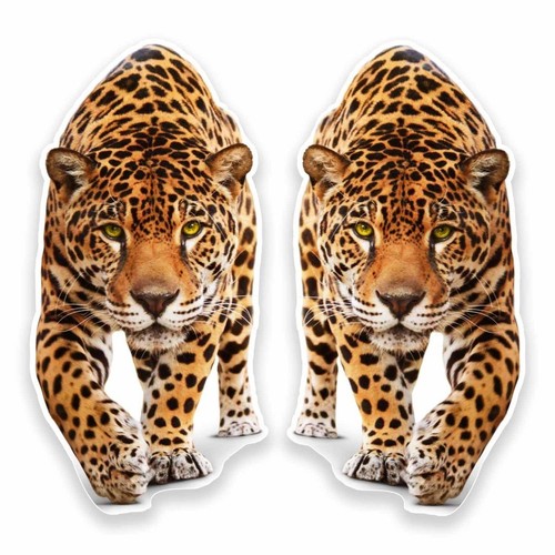 Jaguar panther vinyl - x,