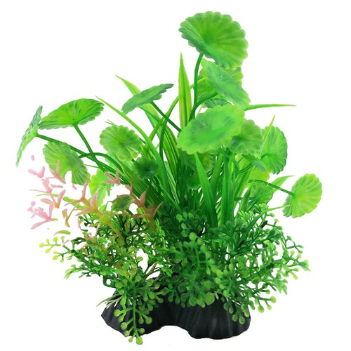 Swell aquarium decoration - swell,