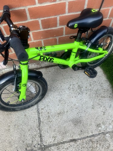 Frog green kids - frog, 43
