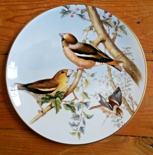 Bird flower themed plate - flower,