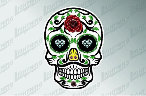 Mexican skull rose - mexican,