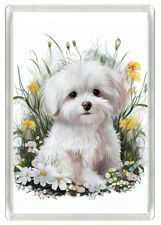 MALTESE PUPPY & FLOWERS DOG