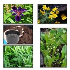 Iris pack 3 marginal - xs,