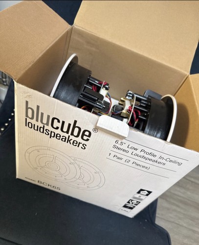 Blucube loudspeaker pair - loudspeaker, bck65
