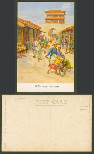 China hardy old - china,