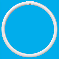 1x 40W G10Q 4 Pin T9 Round