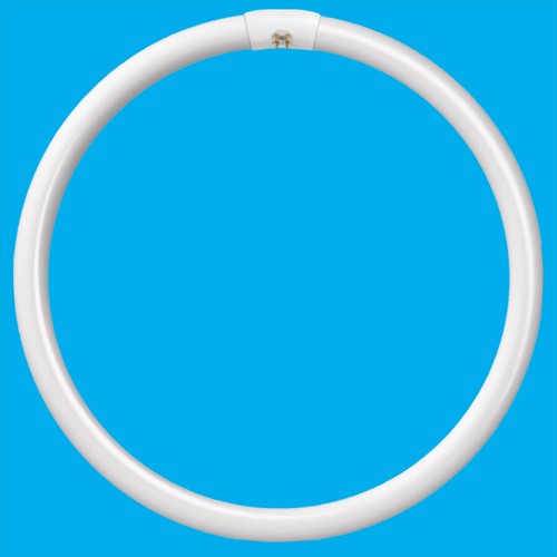 40w g10q pin - g10q, round