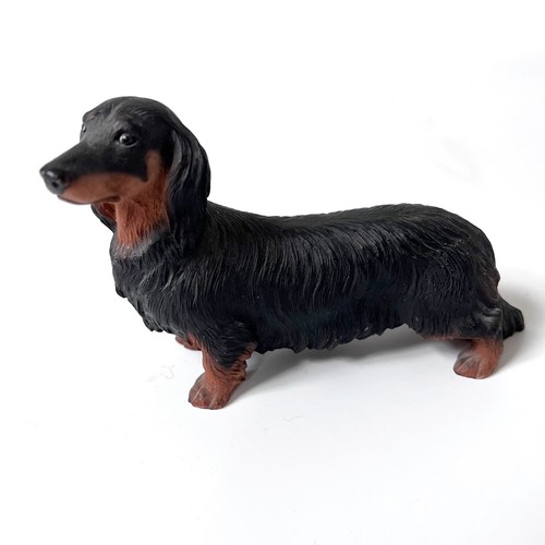 Long haired black tan - haired,