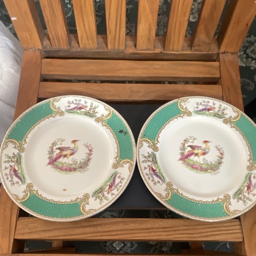 Myott chelsea bird - chelsea, decorative