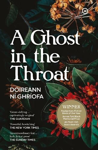 Doireann ghriofa ghost in - doireann,