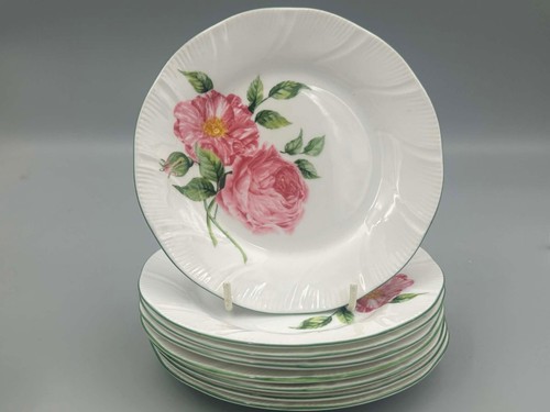 Rosina china mottisfont roses - rosina,