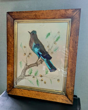 decorative feather bird and watercolour painting Burl Veneer Frame