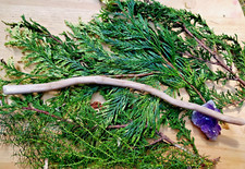 Handmade English Ivy Wood Wand Transfiguration & Defensive Magic Pagan Wicca T