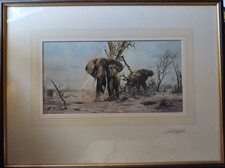 David Shepherd Signed Elephant Print Framed Wildlife Art - FREE SHIPPING