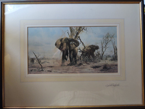 David shepherd signed elephant - david,