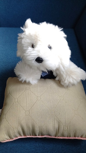 Dulux english sheepdog dog - dulux,