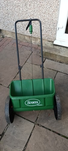 Scott evergreen grass - grass, seed