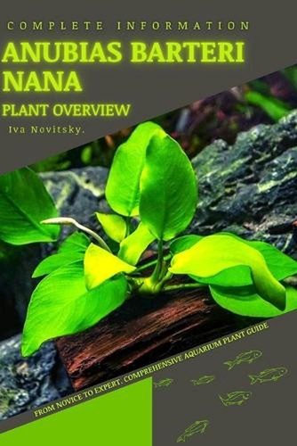 Anubias barteri nana from - nana:,
