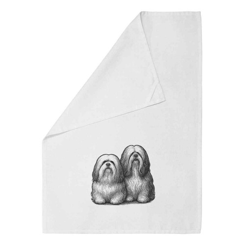 Two lhasa apso dogs white - 'two,