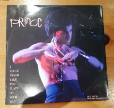 Prince - I Could Never Take