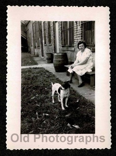 Whie dog black - dog, woman