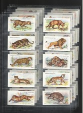 103 YR OLD 1923 PRE WAR