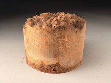 Live Edge Burr Elm Resin