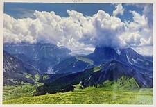 Original realistic oil