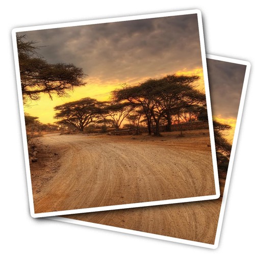 Vinyl stickers serengeti - 2x,