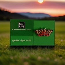 RSPB-Pin Badge GARDEN TIGER
