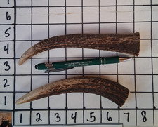 2 Premium Brown Red Deer /