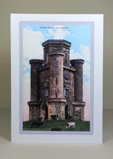 Llandeilo paxton tower - paxton's,