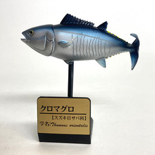 3D Encyclopedia Saltwater Fish