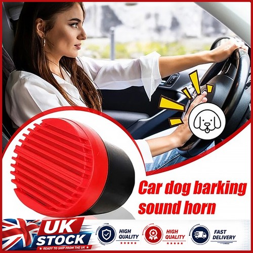 New car warning - car, dog