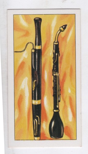 Anonymous musical instrument - musical,