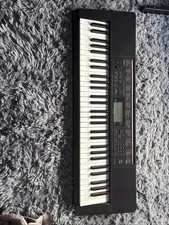 Casio LK-160 Keyboard has 110