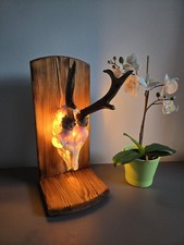 Roe deer horns,Antlers led lamp. taxidermy, wood, hunting trophy