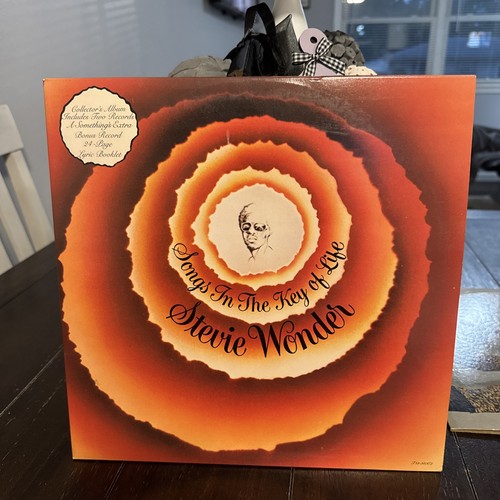 Stevie wonder songs in the - stevie,