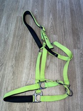 Hkm Padded Headcollar Green X