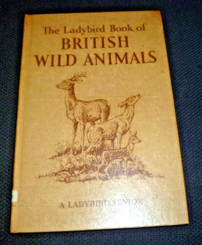 Vintage the ladybird book - the,