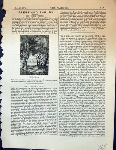 Original old antique print - original,