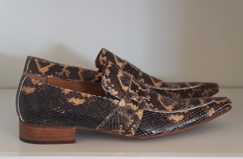 Exotic snake marco - exotic, delli