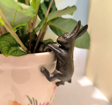 Cast Iron Rabbit Hare Plant
