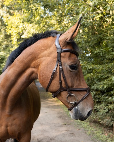 Ergonomic comfort bridle - bb,