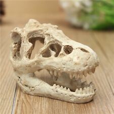 Aquarium Fish Tank T-Rex Dinosaur Skull Ornament Resin Decoration 8.5cm