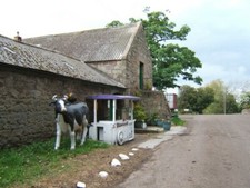 Photo 6x4 Ice-cream stall