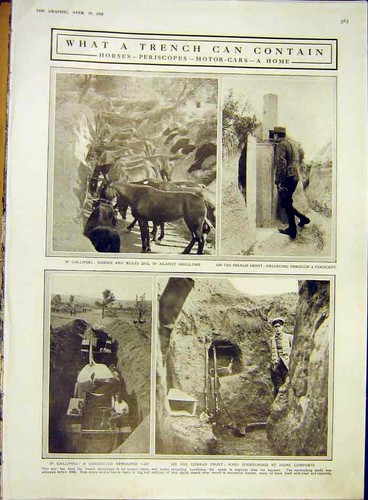 Original old antique print - old,